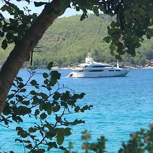 Zeytindalı Muğla
