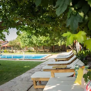 Mogla Tashan Muğla