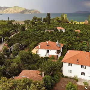 Soul Mugla